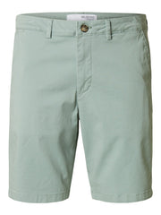 292835 Iceberg Green