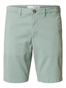 292835 Iceberg Green