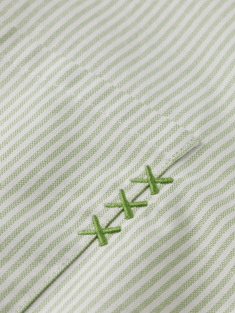 Regular fit striped oxford shirt