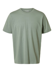 292835 Iceberg Green