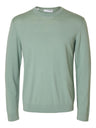 292835 Iceberg Green