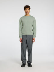 292835 Iceberg Green