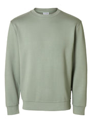 292835 Iceberg Green
