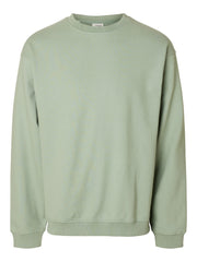 292835 Iceberg Green