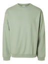 292835 Iceberg Green