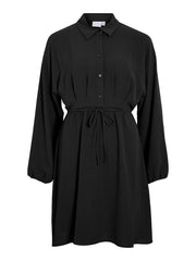 295042 Black Beauty