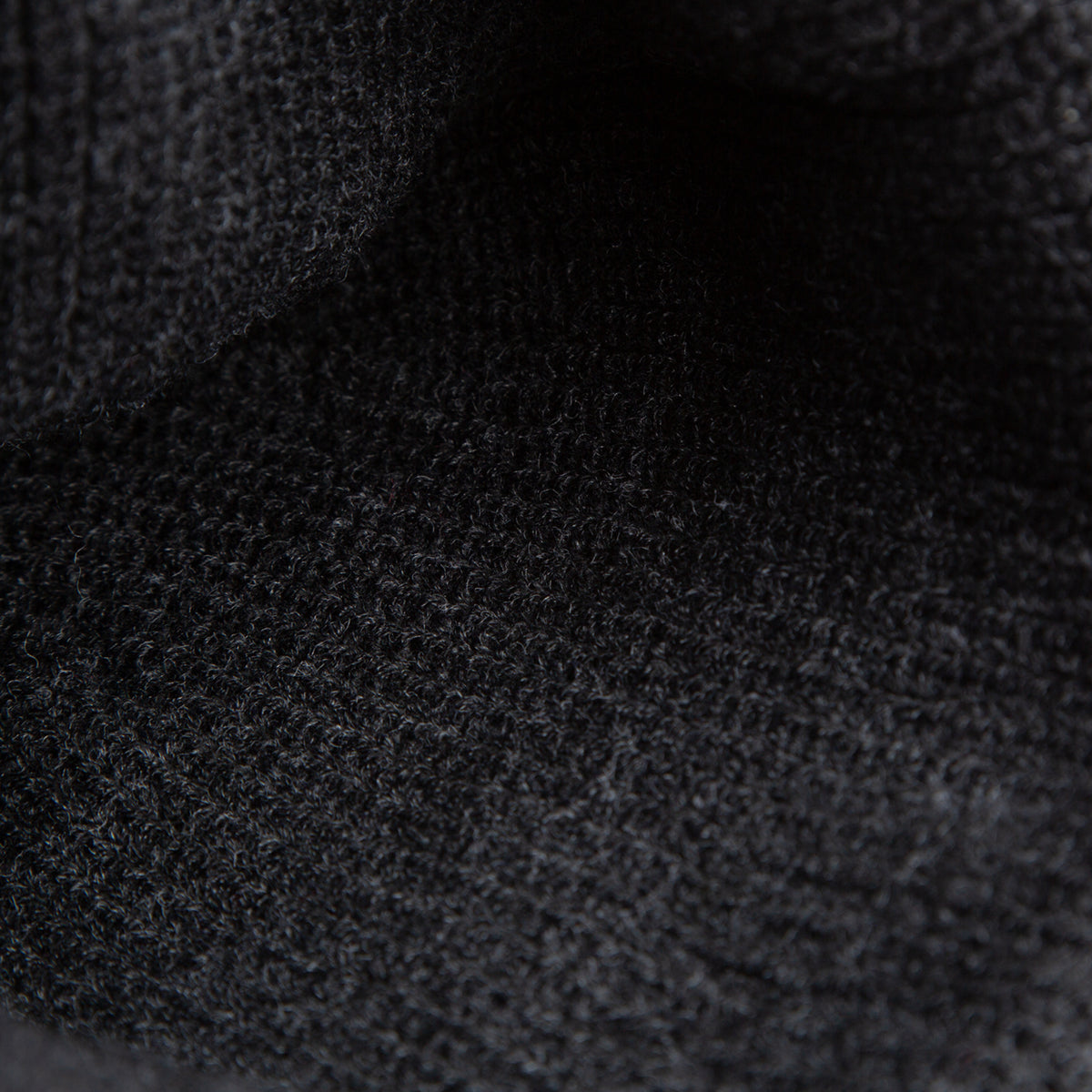 The Panther Beanie