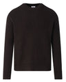Mole dark brown