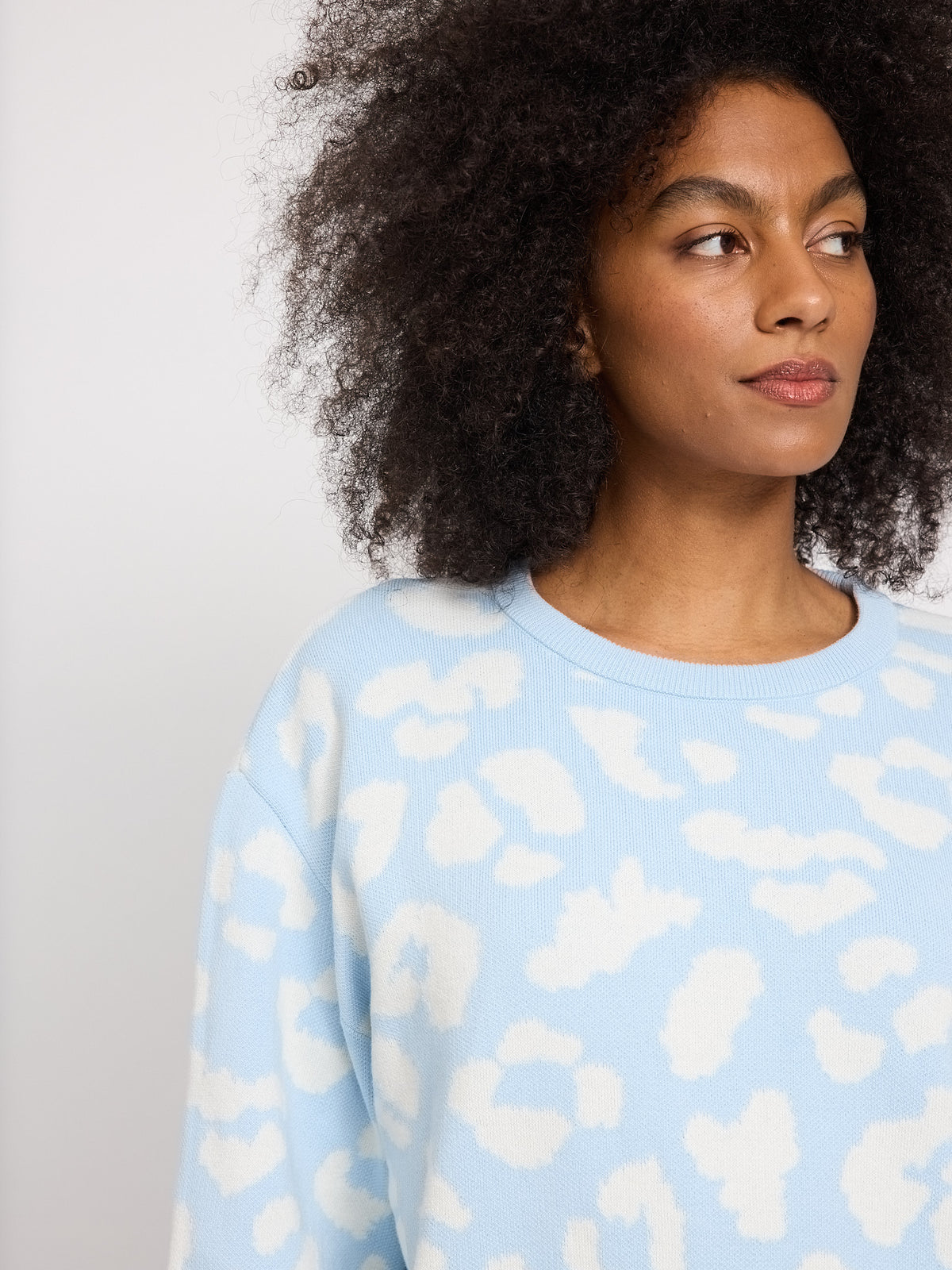 Brina Jumper