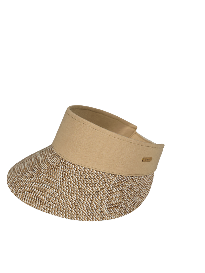 Vesder Visor