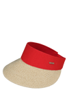 Vesder Visor