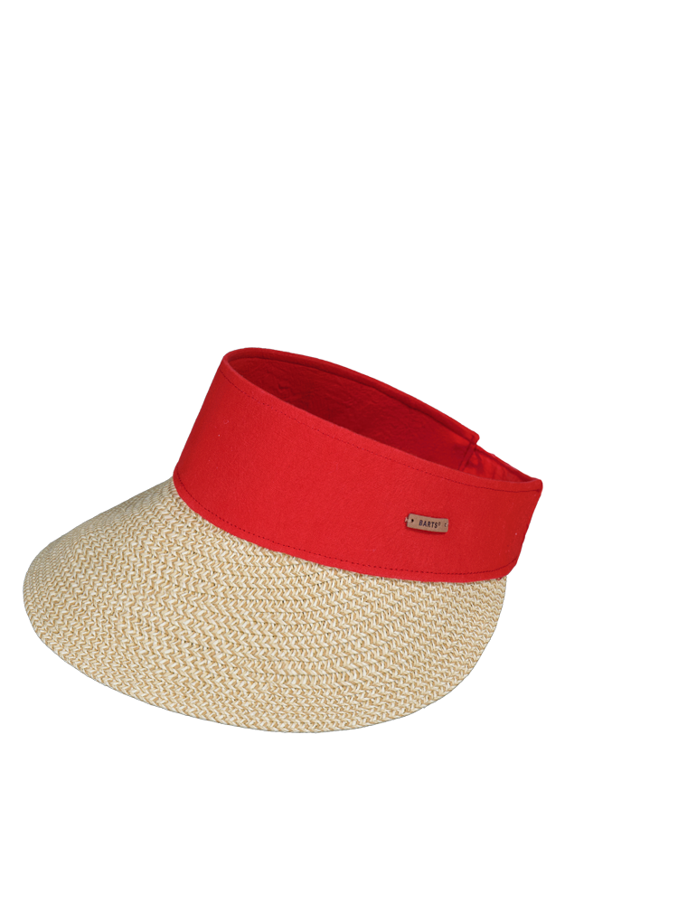 Vesder Visor