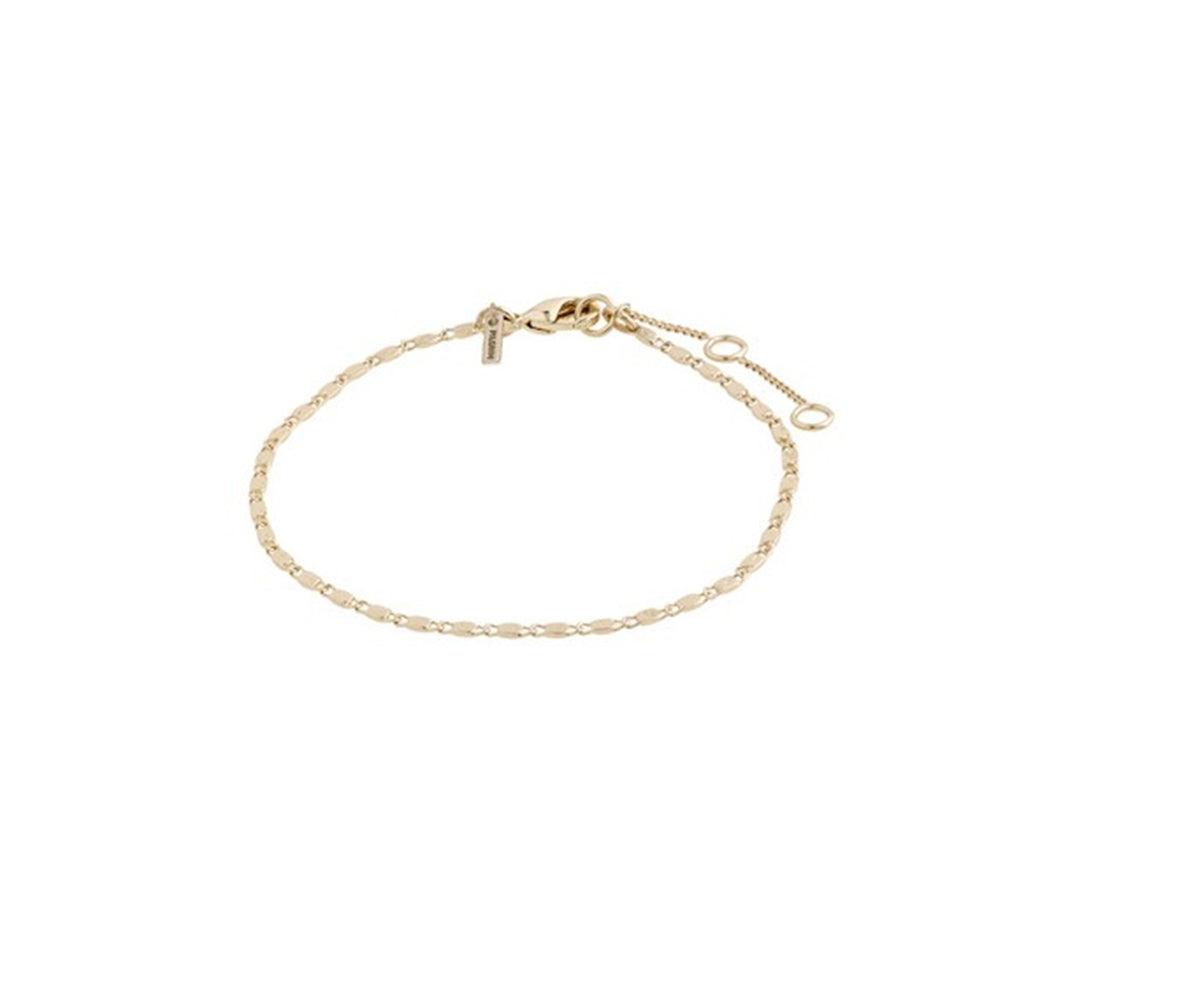 PARISA flat link chain bracelet gol