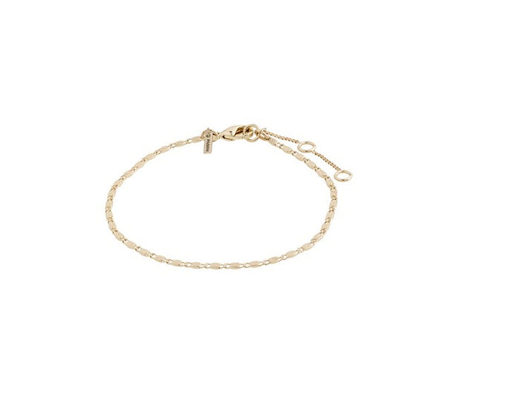 PARISA flat link chain bracelet gol