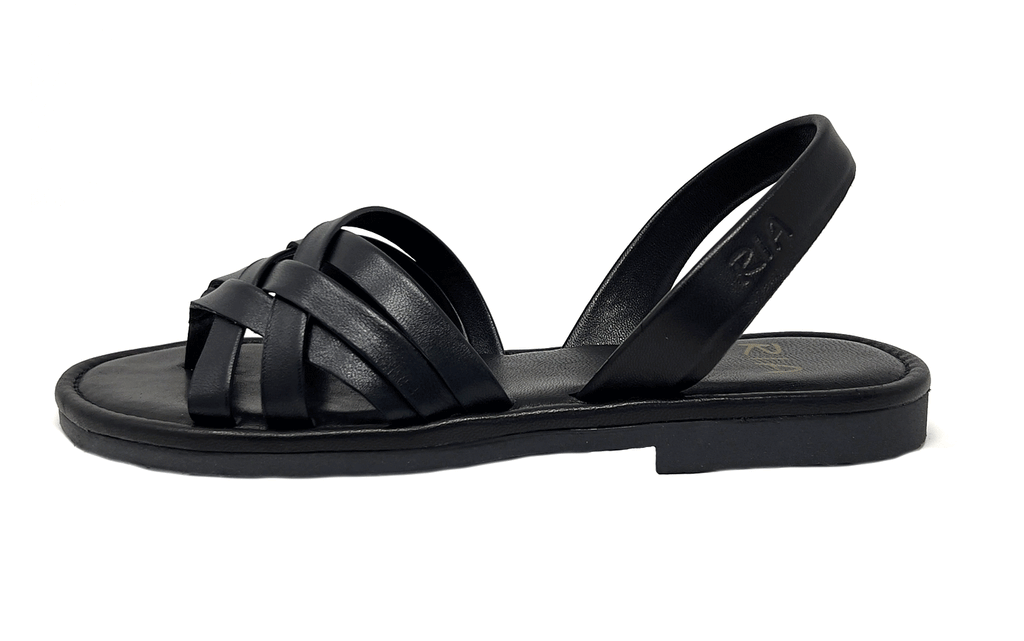 CREP. (SATO) CORAZONES NEGRO (ALOJA