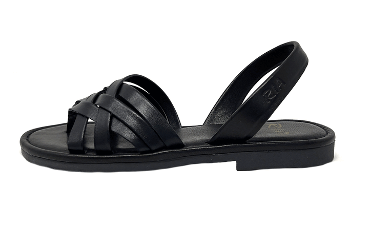 CREP. (SATO) CORAZONES NEGRO (ALOJA