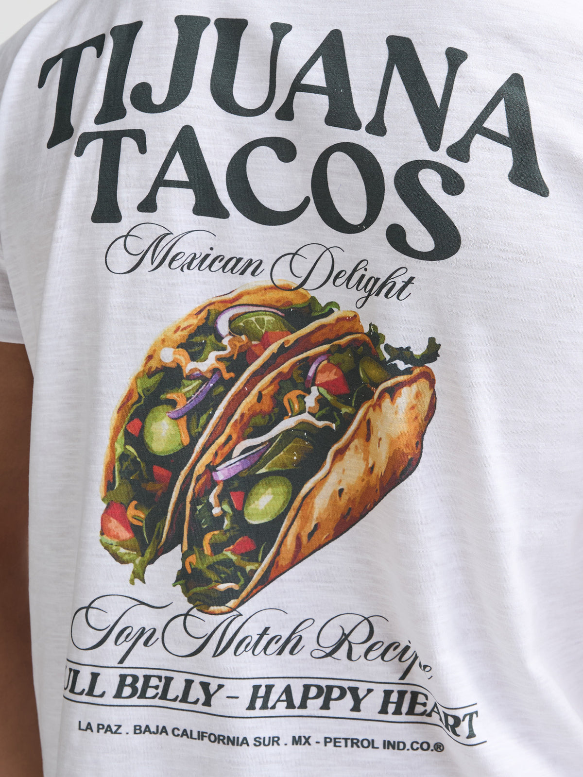 Men T-Shirt SS Classic Print