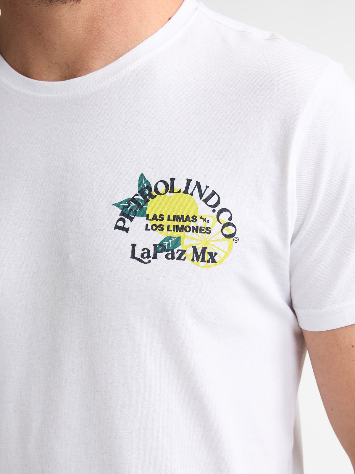 Men T-Shirt SS Classic Print