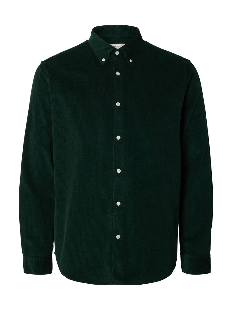 SLMREGCOLE DANNI CORD BD LS SHIRT N